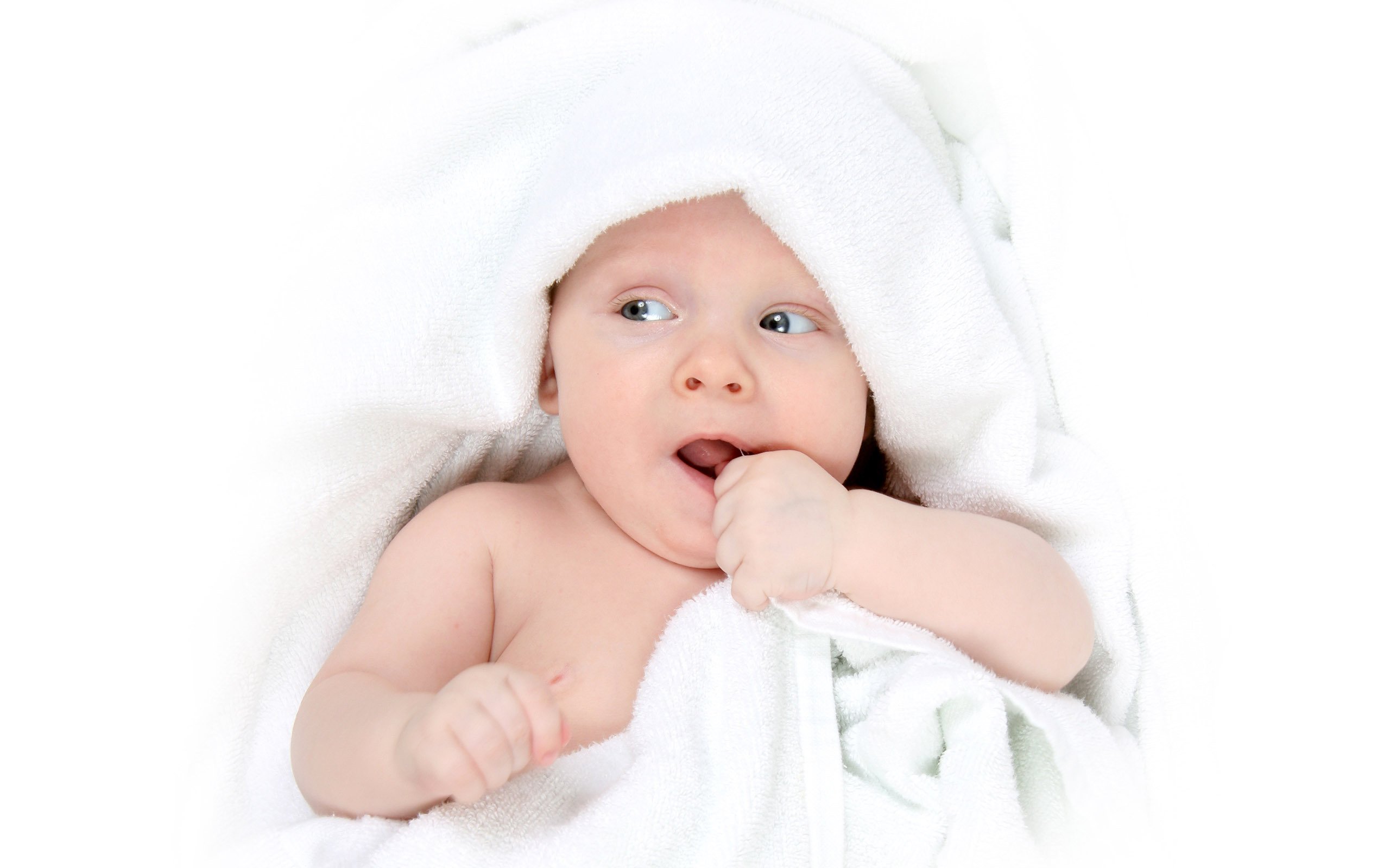 石家庄捐卵机构试管婴儿囊胎成功率